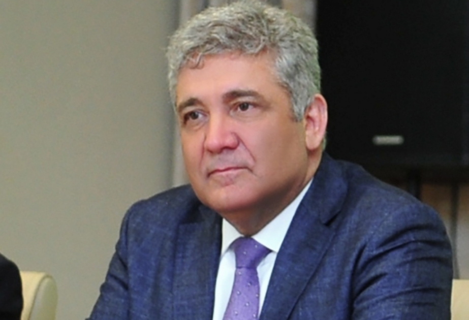 Professor: Hətta yüzilliklər sonra Prezident İlham Əliyevin Azərbaycana rəhbərliyi dövrü möhtəşəm salnamə kimi xüsusi tədqiq ediləcək