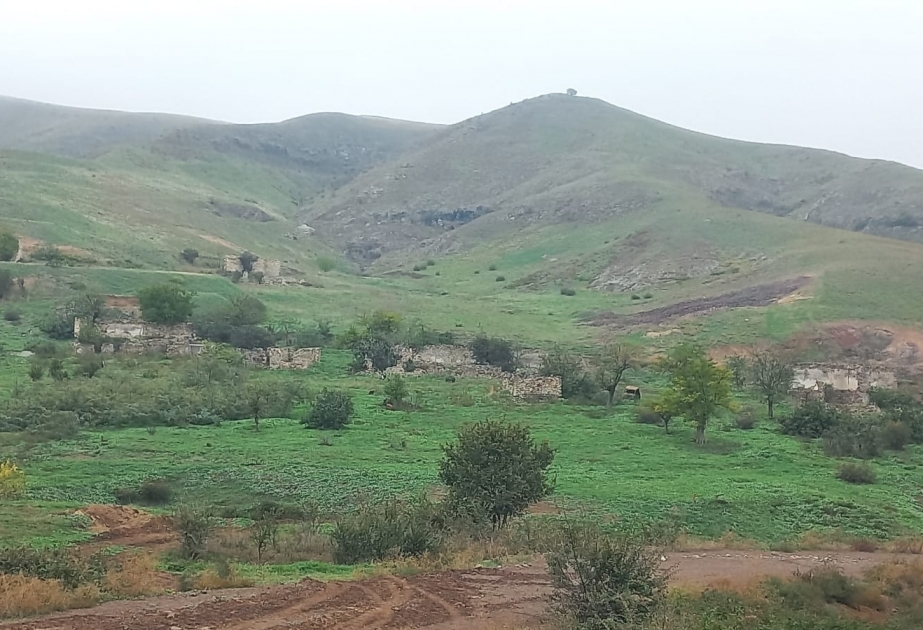 204 casas privadas se construirán en la primera fase en la aldea liberada de la ocupación de Gochakhmadli