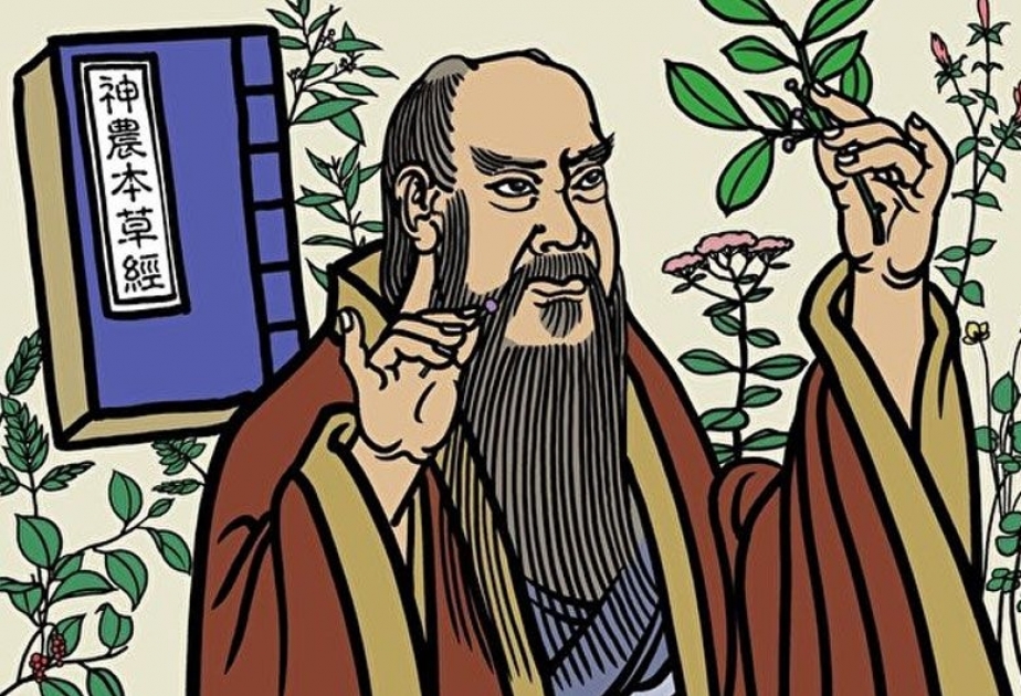 Tee wird erstmalig in der chinesischen Literatur erwähnt