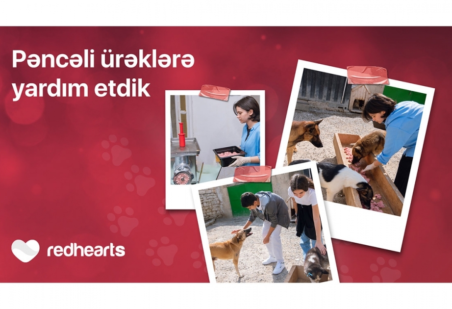®  “Qırmızı Ürəklər” könüllüləri heyvan sığınacağına yardım etdi