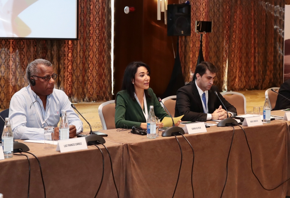 Ombudsman: Fransa kimi ölkələr sülh və əmin-amanlıq mühitinin yaranmasına mane olmaqda davam edir