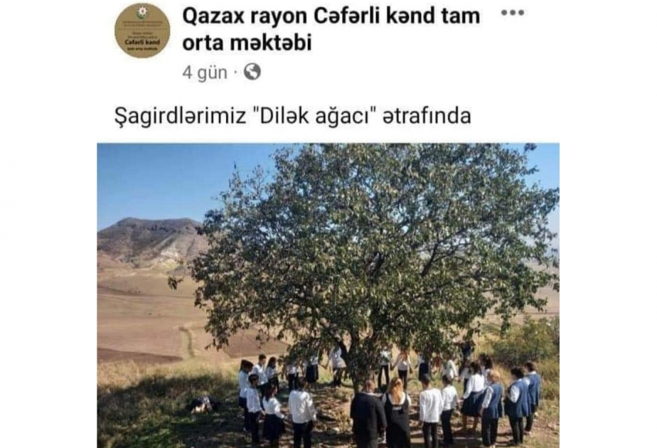 Direktoru “Dilək ağacı”na görə cəzalandırılan məktəbin müəllimi: Bu fotonun xurafatla əlaqəsi yoxdur
