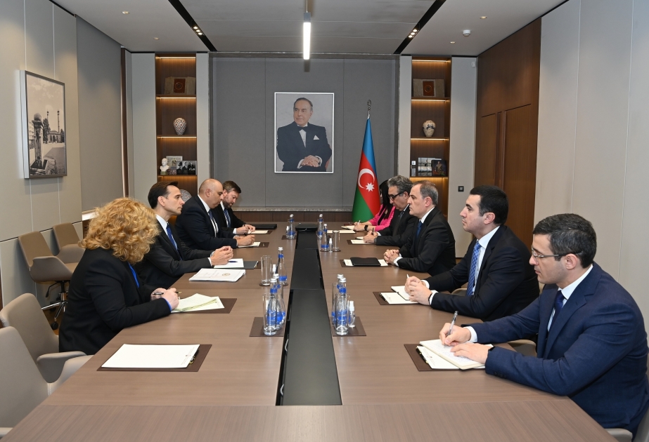 Canciller de Azerbaiyán informó al Subsecretario de Estado Adjunto de EEUU sobre la situación actual en la región