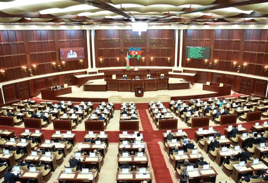 “Çex Senatının regionumuzda baş verən proseslərə dair qəbul etdiyi qeyri-obyektiv qətnamə təəssüf doğurur” -  BƏYANAT