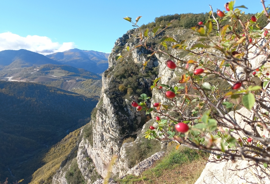 Fotostrecken- Herbst in Schuscha