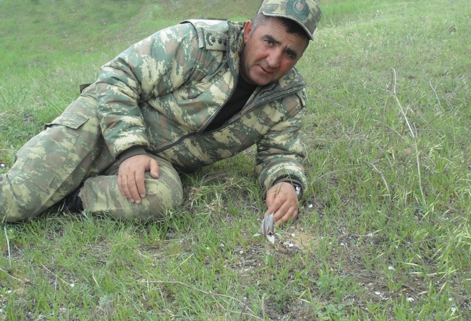 Orduda “İstehkamın atası” adlandırılan, ömrünün 26 ilini Vətən keşiyində keçirən şəhid polkovnik Rahim Əliyev