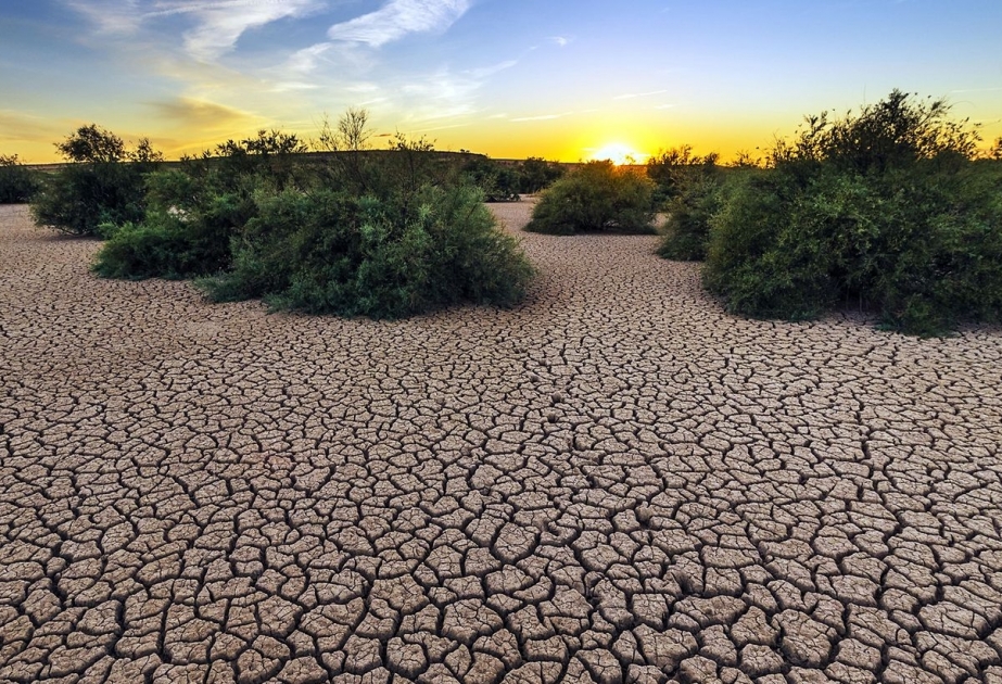 Klimawandel: Eine Bedrohung für Umwelt und Menschen