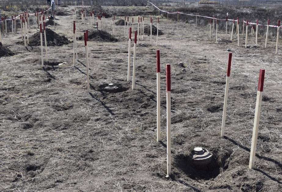Mine contamination delay implementation of multilateral projects in liberated territories, says Azerbaijani deputy minister