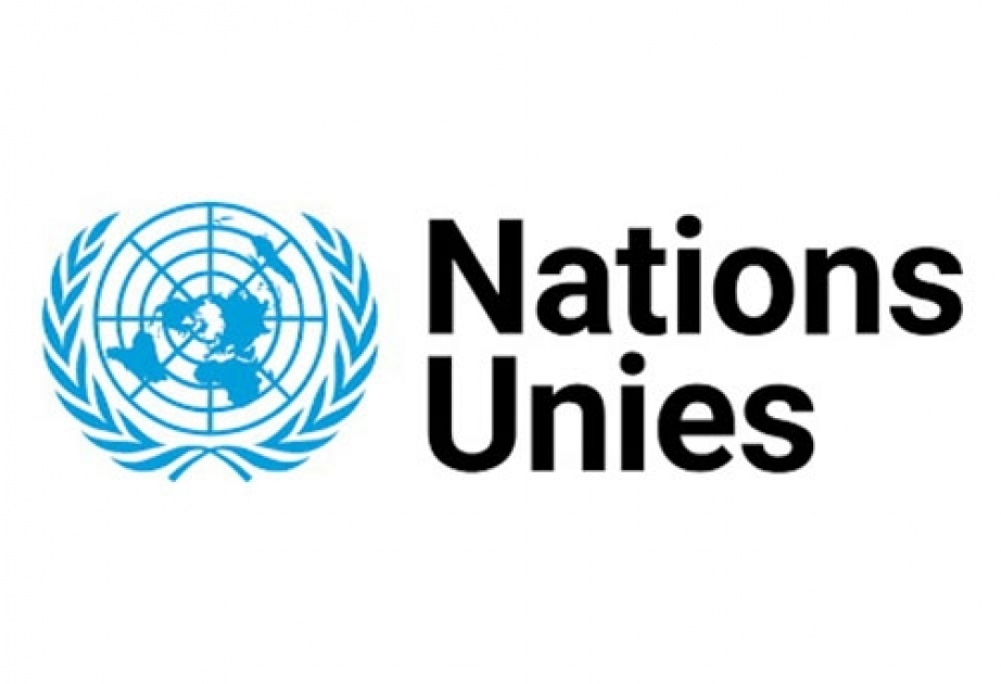 Le féminicide, une épidémie mondiale que les États doivent éradiquer, selon un expert de l'ONU