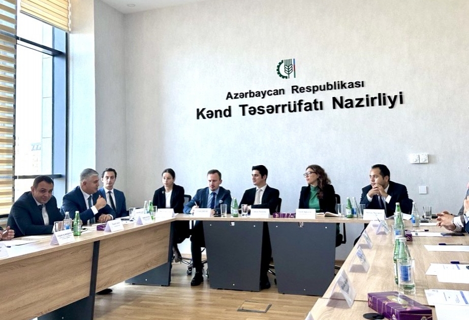 Министерство экспорта. Аксель Моторс. Сотрудники Аксель Моторс.