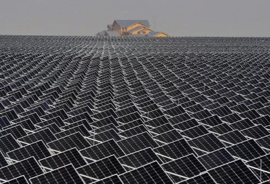 Global demand for fossil fuels to peak by 2030: IEA