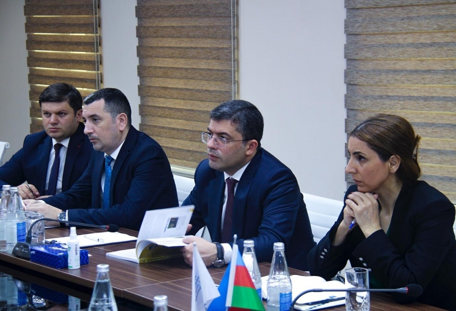 Azerbaijan, Türkiye discuss media cooperation of Turkic states