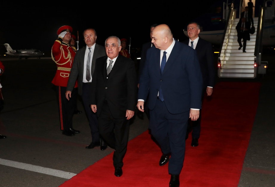 El Primer Ministro de Azerbaiyán efectuó una visita de trabajo a Georgia