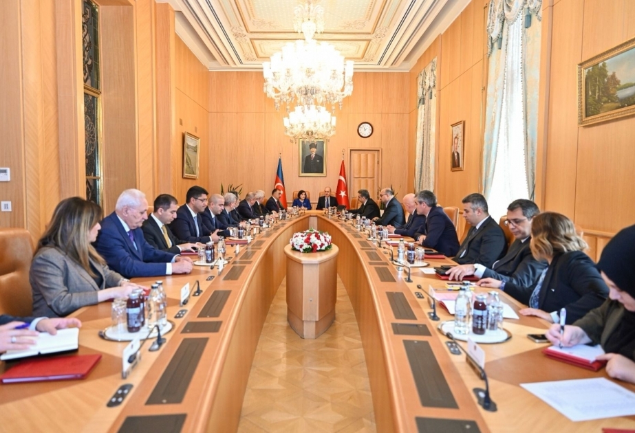 Türkiye stands by Azerbaijan on any platform, says Speaker of Turkish Grand National Assembly