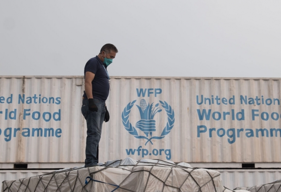Food lifeline for desperate families in Gaza at risk without fuel, WFP says