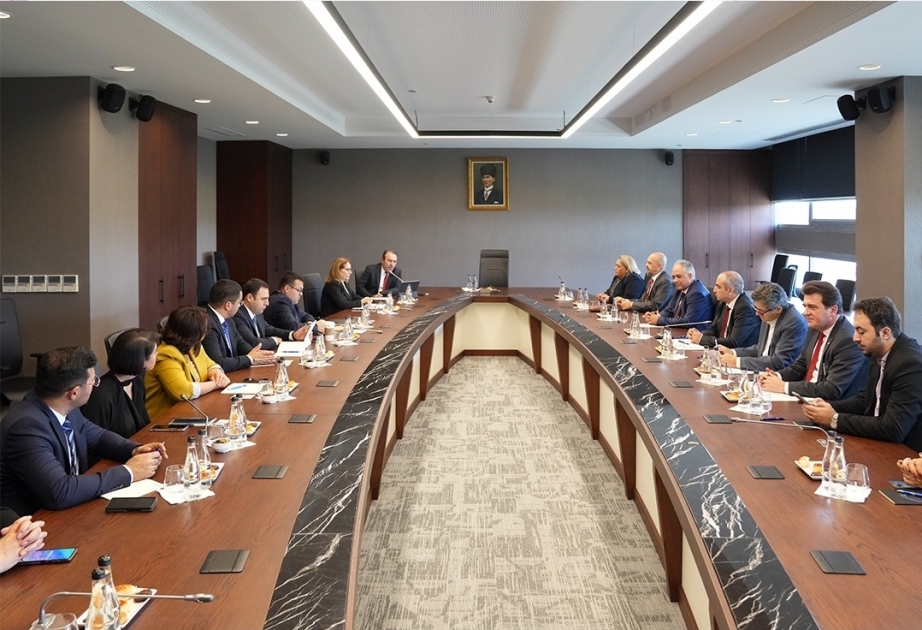 Azerbaijan, Türkiye discuss prospects for ICT cooperation