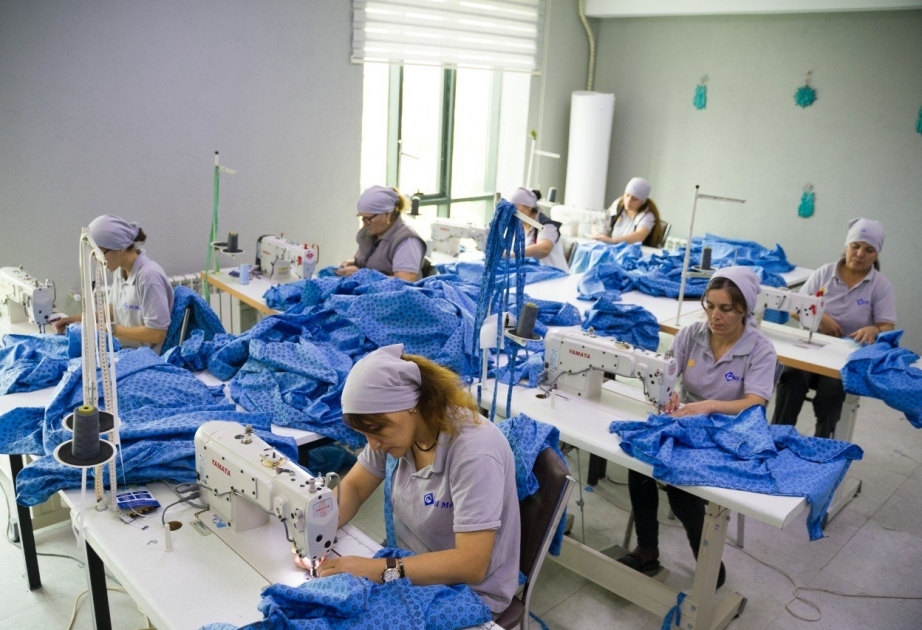En Jabrayil se ha puesto en marcha una nueva planta de producción