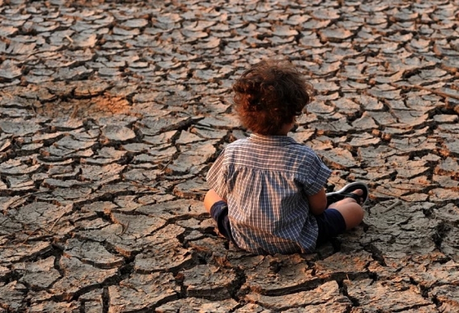 Nature Climate Change: Глобальное потепление превысит 1,5°C к 2030 году