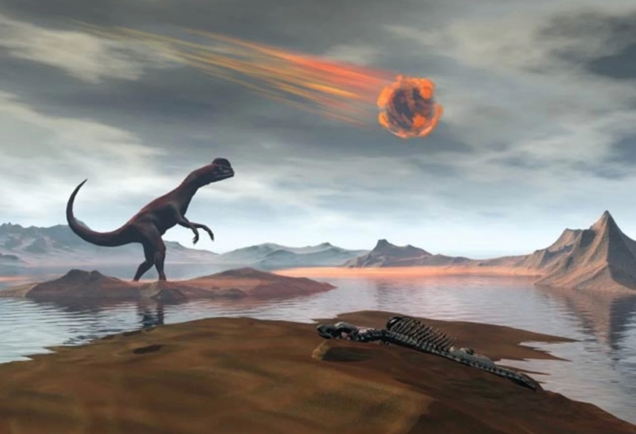 Yeni tədqiqat: Dinozavrları öldürən asteroid zərbəsi Yerdə həyatı necə dəyişib?