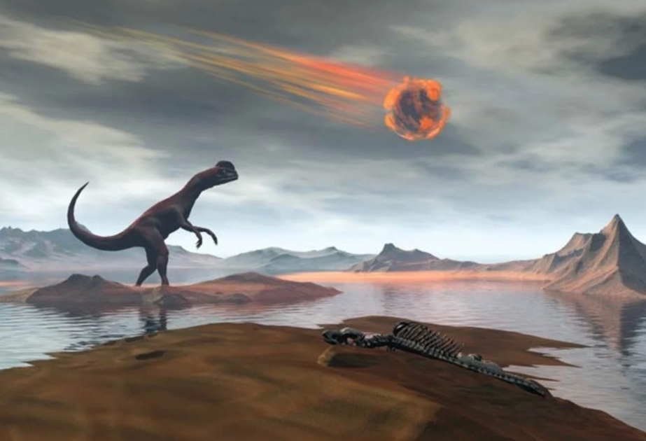 Scientists reveal what caused the 'catastrophic collapse' that led to the extinction of the dinosaurs 66 million years ago