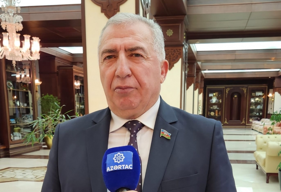 Aqil Məmmədov: Toponimlərin dəyişdirilməsi ermənilərin etnik təmizləmə siyasətinin tərkib hissəsidir