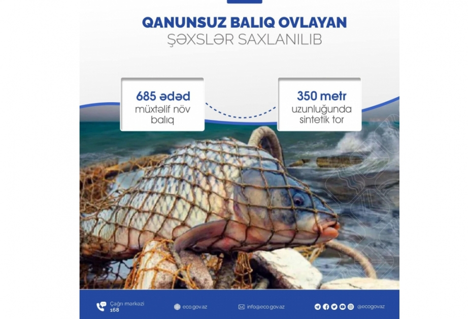 Xəzər dənizinin Pirallahı rayonu akvatoriyasında qanunsuz ovlanan 685 ədəd balıq götürülüb