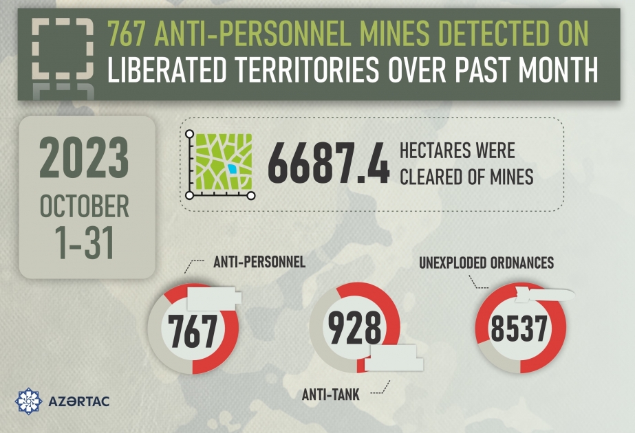 ANAMA: 767 anti-personnel mines detected on liberated territories over past month