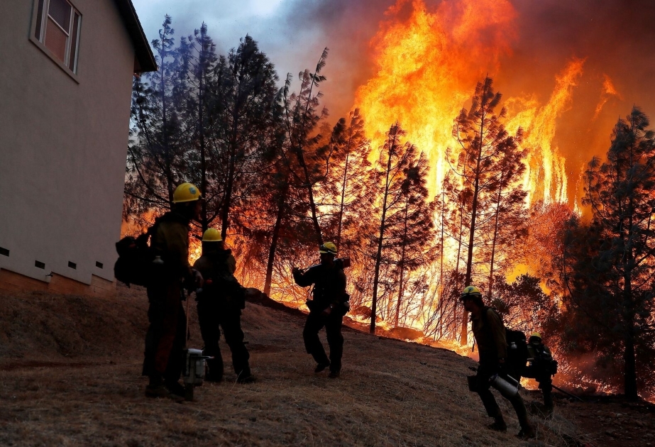 Evakuierungen nach Waldbränden in Kalifornien