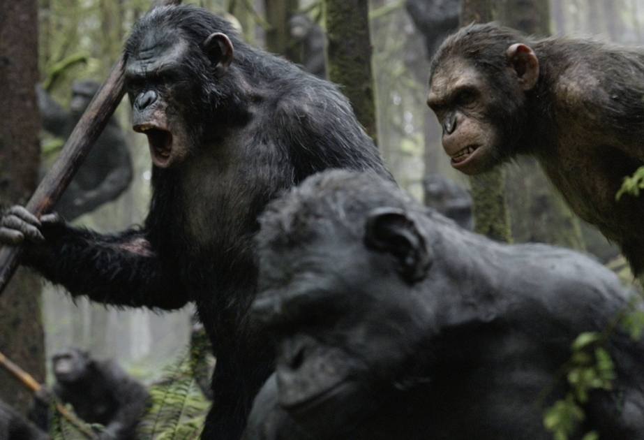 ‘Kingdom of the Planet of the Apes’ trailer: a new post-apocalyptic chapter begins