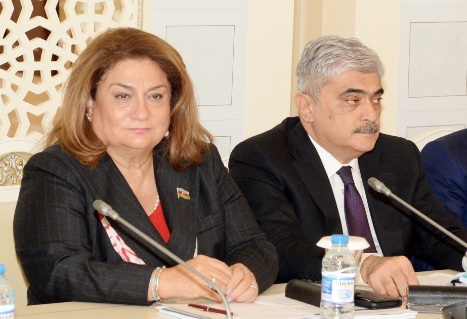 Hicran Hüseynova: Sığınacaq, uşaq və ailələrə dəstək mərkəzlərinin sayının artırılmasına ehtiyac var