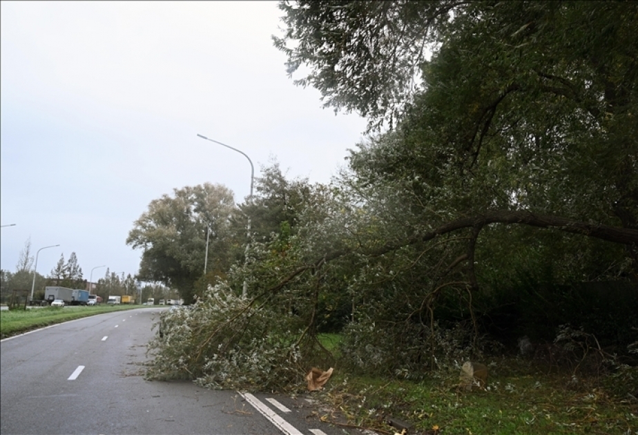 France/tempête Ciaran : deux morts et 47 blessés selon un nouveau bilan