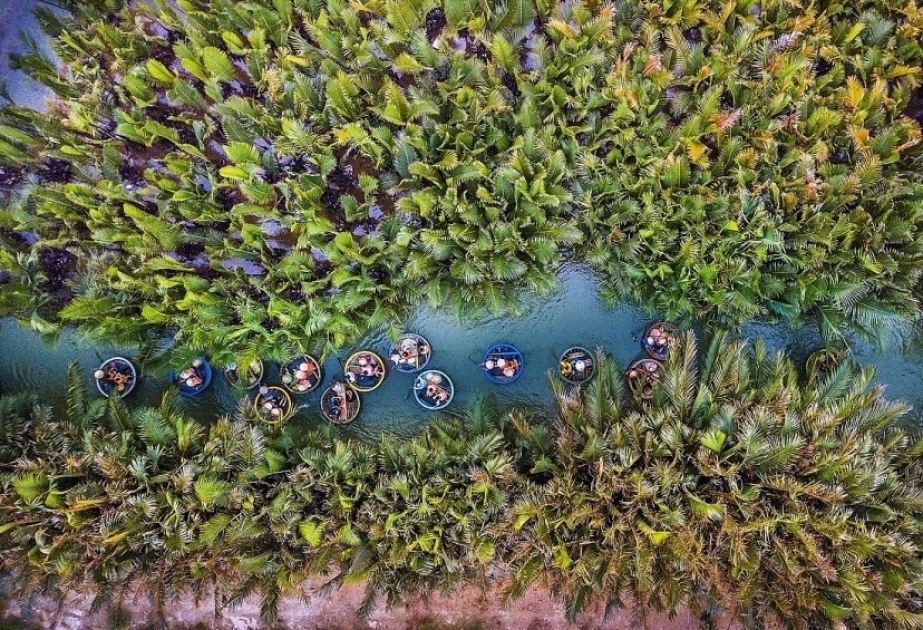 World’s diverse biospheres ‘making peace with the natural world’