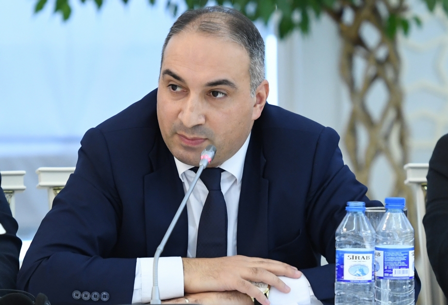 Həbib Mikayıllı: Ermənistanda dəqiq mina xəritələri olduğu halda onları vermək istəmir
