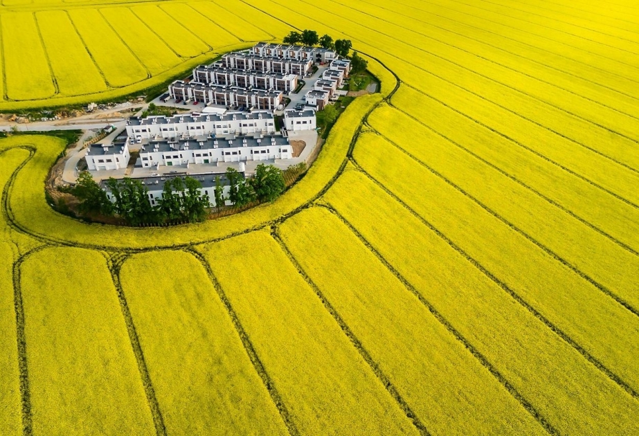 Объявлены лучшие фотографии конкурса The Nature Conservancy