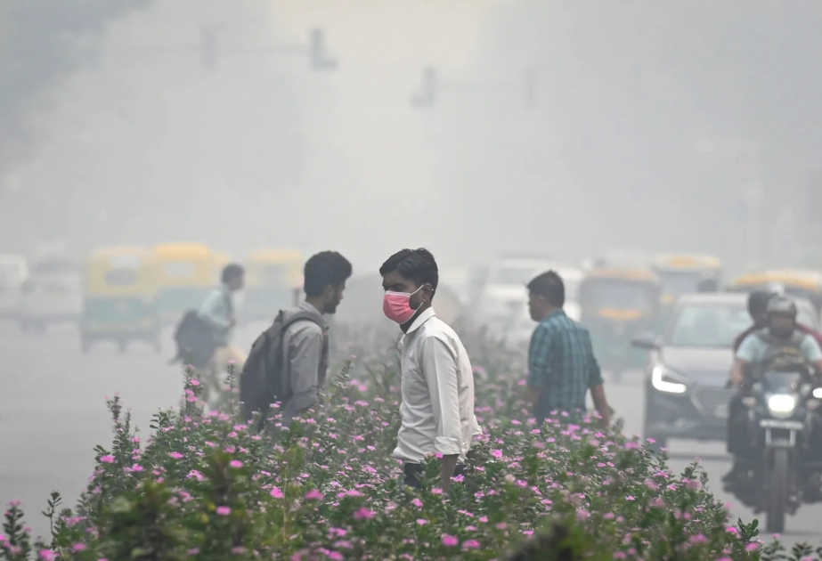 Extremer Smog in Indien: Luftqualität erreicht gefährliche Werte