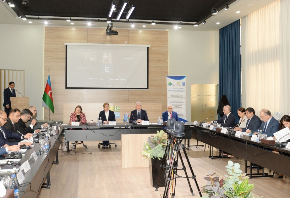 Экспертная группа прикаспийских стран подготовит план работы и мероприятий
