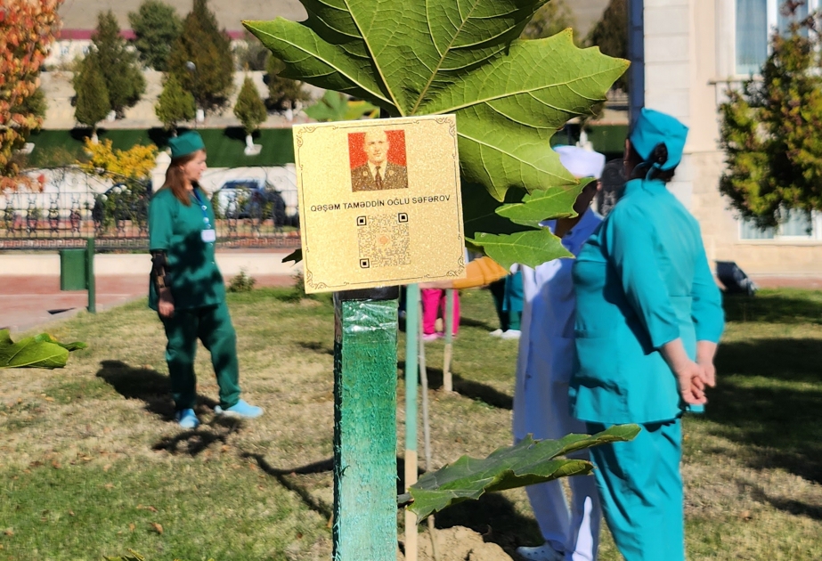Şahbuz rayonunda şəhidlərin adına bağ salınıb