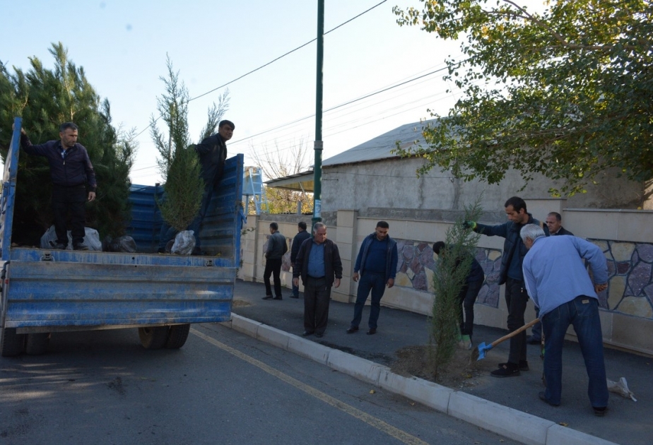 Tərtərdə Zəfər Günü münasibətilə ağacəkmə aksiyası keçirilib