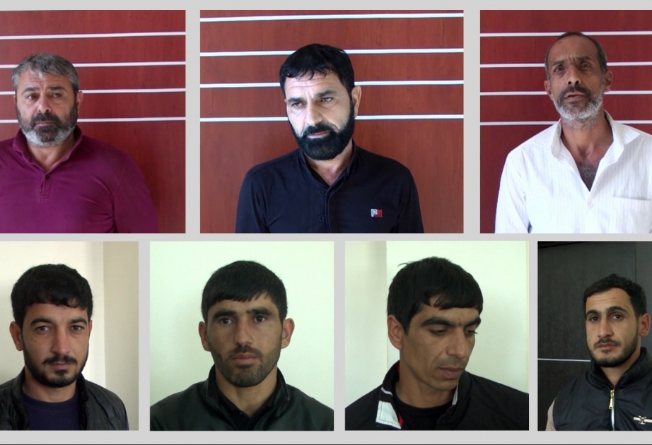 Hacıqabulda fermalardan oğurluq edən dəstə üzvləri saxlanılıb