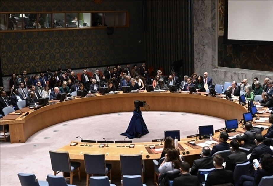 UN Security Council fails to agree on Israel-Hamas war as Gaza death toll passes 10,000