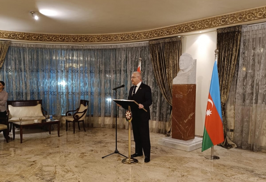 Misirdə Azərbaycanın Zəfər və Dövlət Bayrağı günləri qeyd edilib