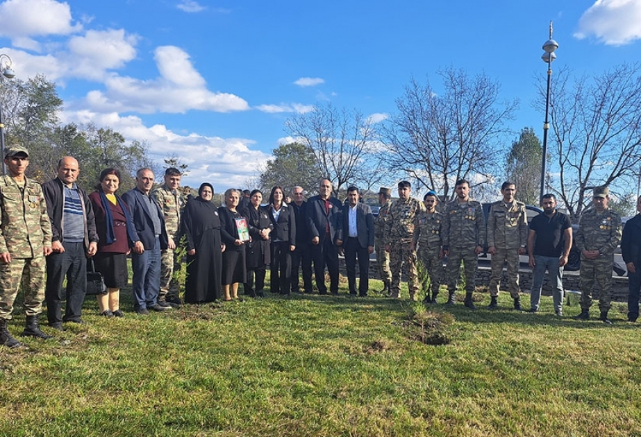 Qəbələdə Zəfər Gününə həsr edilmiş ağacəkmə aksiyası keçirilib