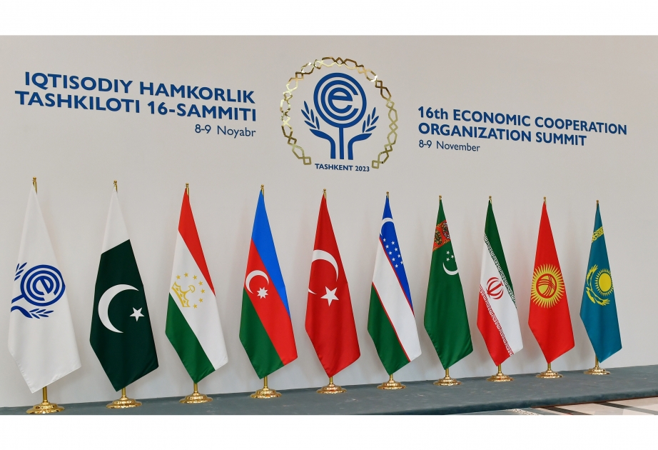 Азербайджан придает большое значение деятельности Организации экономического сотрудничества