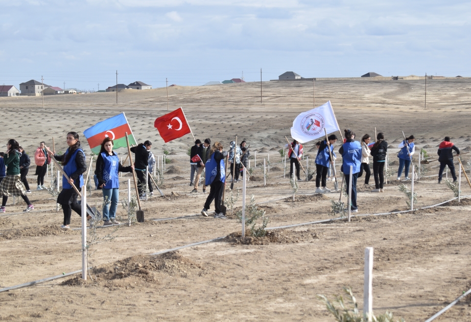 "Türk dövlətləri Milli Ağaclandırma Günü” ndə ölkə ərazisində 11 min 111 ağac əkilib