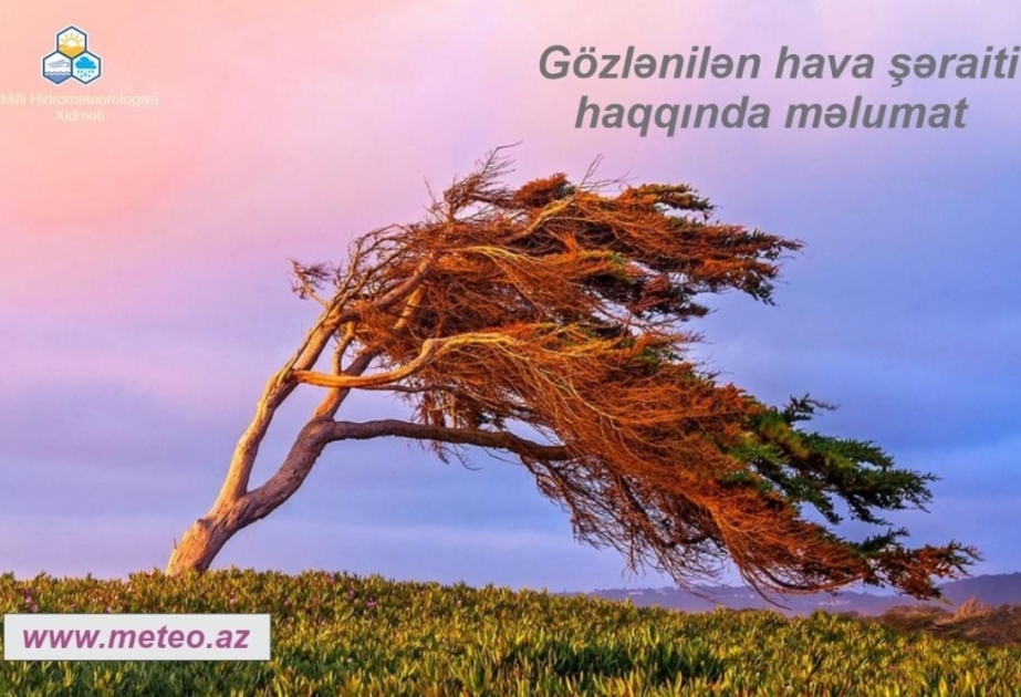 Bakıda və Abşeron yarımadasında küləyin güclənəcəyi gözlənilir