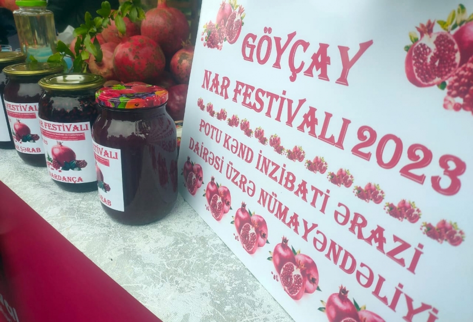 Göyçayda XV Nar Festivalına start verilib  VİDEO