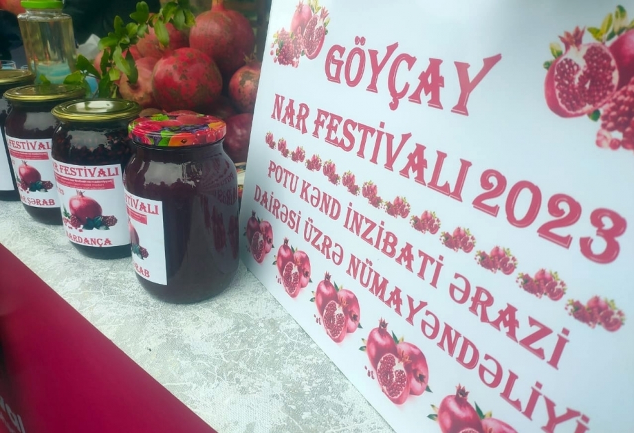 مهرجان الرمان الشعبي ينطلق في كويتشاي، المعروفة بأشهى رمانها