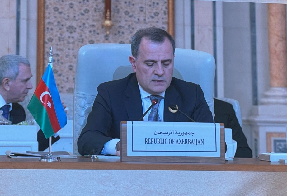 Ceyhun Bayramov: İsrail-Fələstin münaqişə zonasında gərginliyin davam etməsi ciddi narahatlıq doğurur