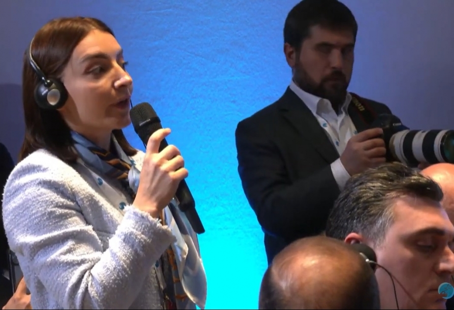 Səfir: Ermənistanı silahlandırmaqla bu ölkədəki revanşist ideologiyanı dəstəkləyən Fransa vasitəçilikdən danışa bilməz