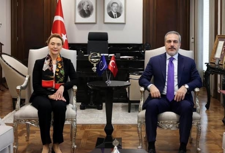 الأمين العام لمجلس أوروبا يزور تركيا